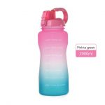 pink-to-green-2l